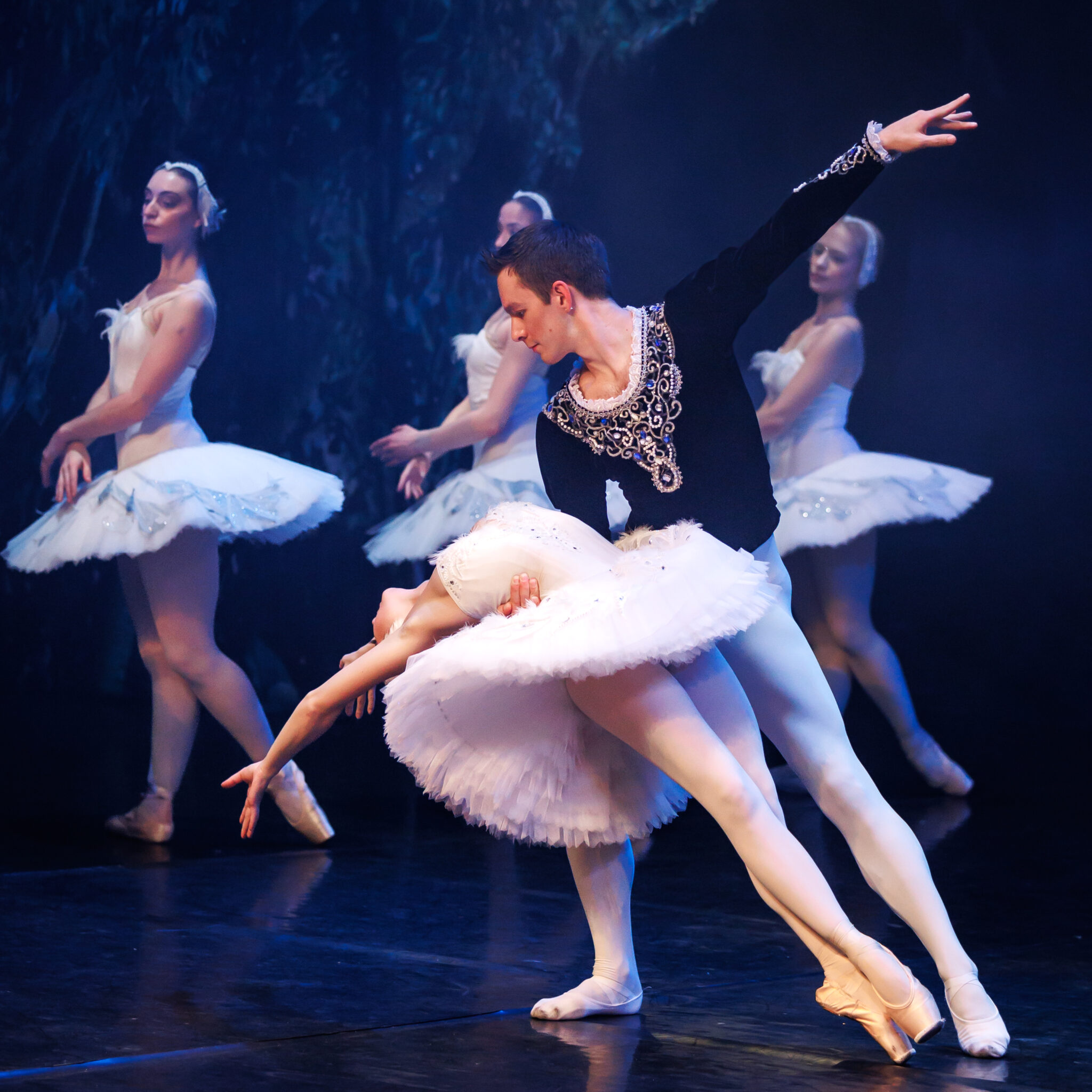SwanLake2