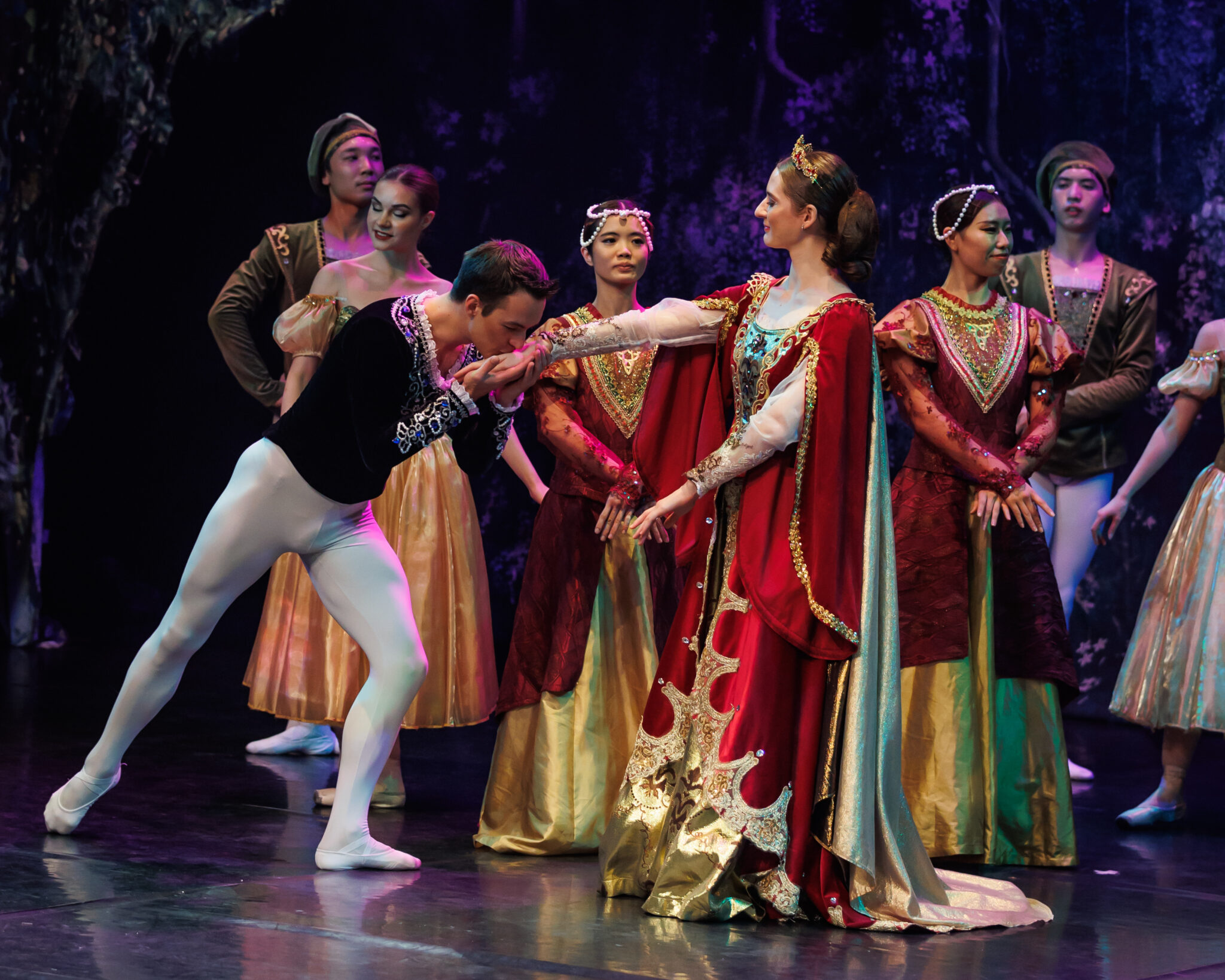 SwanLake3